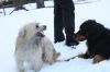 IMG_5016.JPG